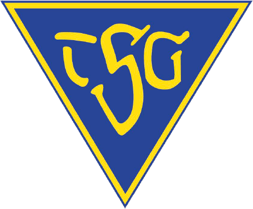 Wappen TSG Dülmen